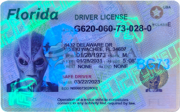 Florida Motorcycle UV